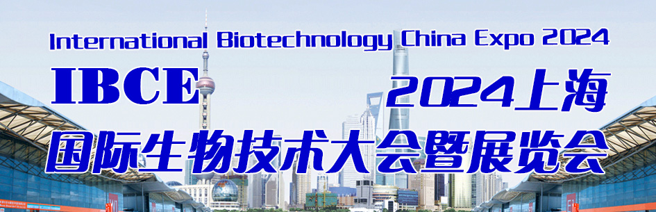 2024上海图片.jpg 2024上海图片.jpg